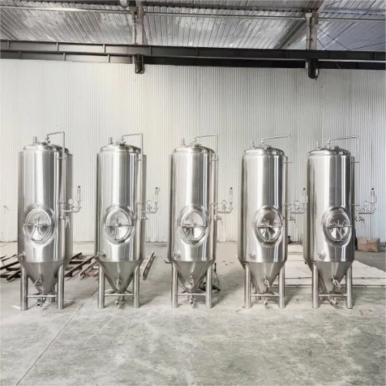 Équipement de bière artisanale de cuve de fermentation 500L CCT fabriqué en Chine